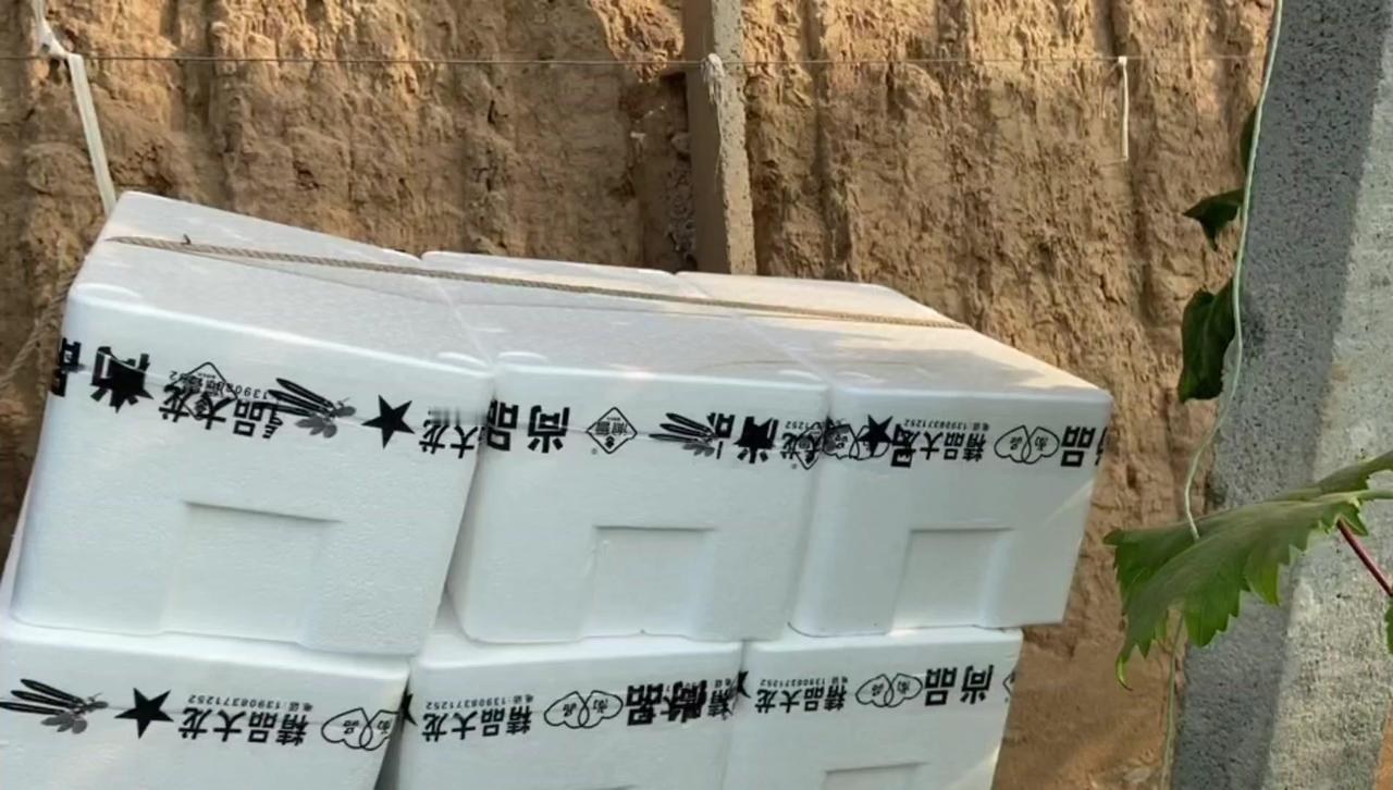 📚种得好才能卖价高？原来关键在这里！想让农产品卖出好价钱还不愁销路？其实用心管