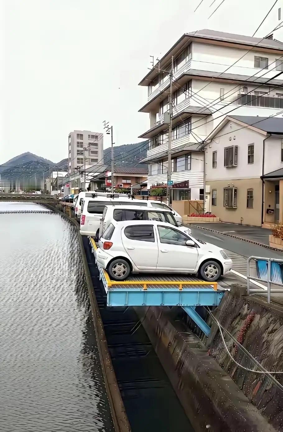 日本这是聪明还是无奈 ​​​
