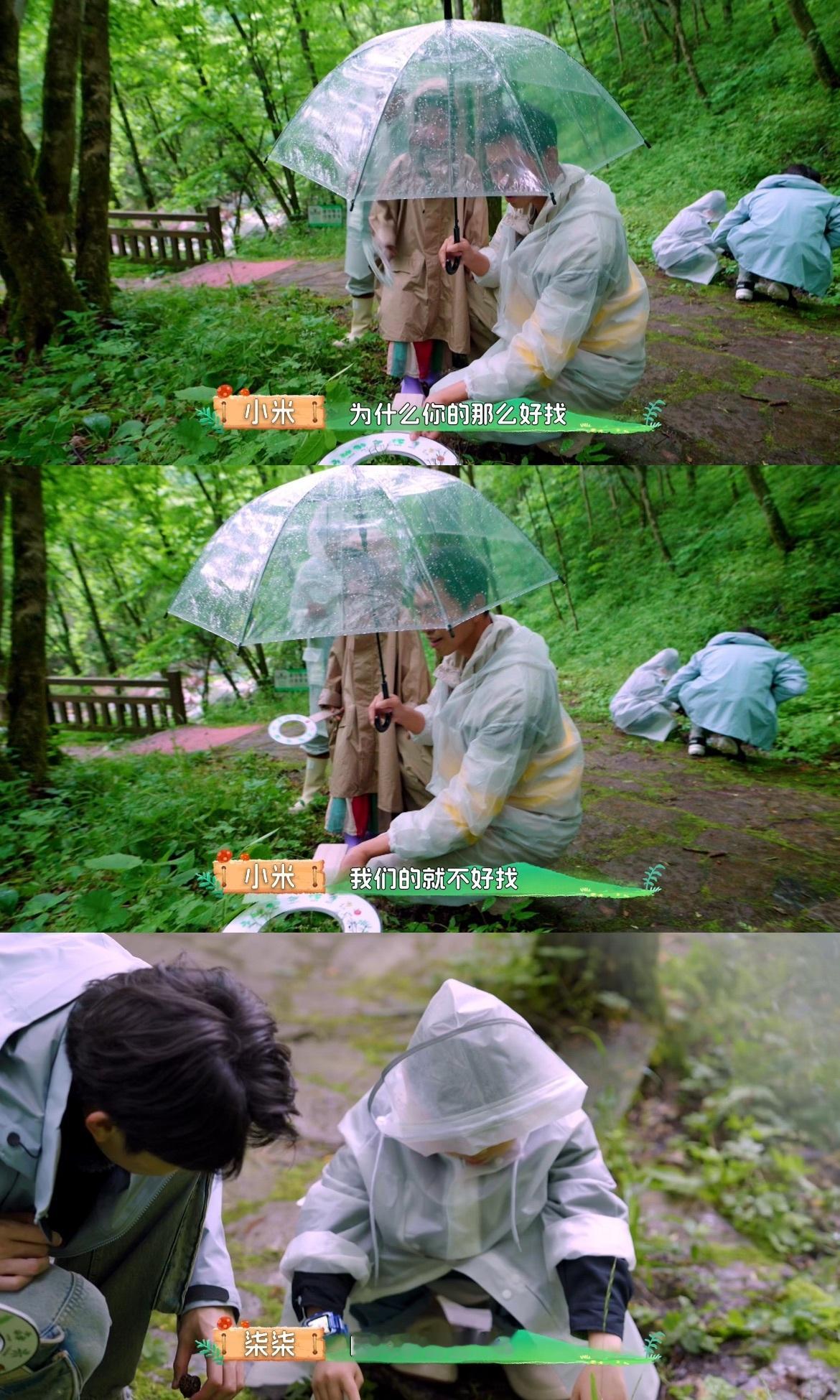 #自然学院林开播##水哥王昱珩胡明昊淡人带浓娃# 第一次如此直观的感受到浓人和淡