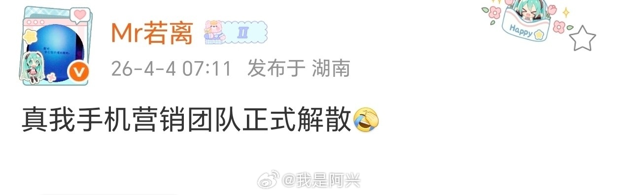 真我现在到底是一个什么情况？猜测大概率国内业务暂停继续深耕海外市场 