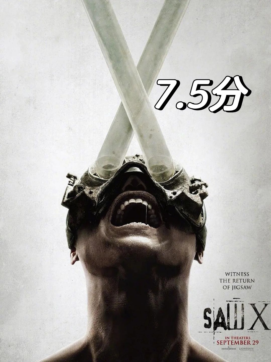 观影｜“竖锯”都被坑了🆘电诈太可怕👽