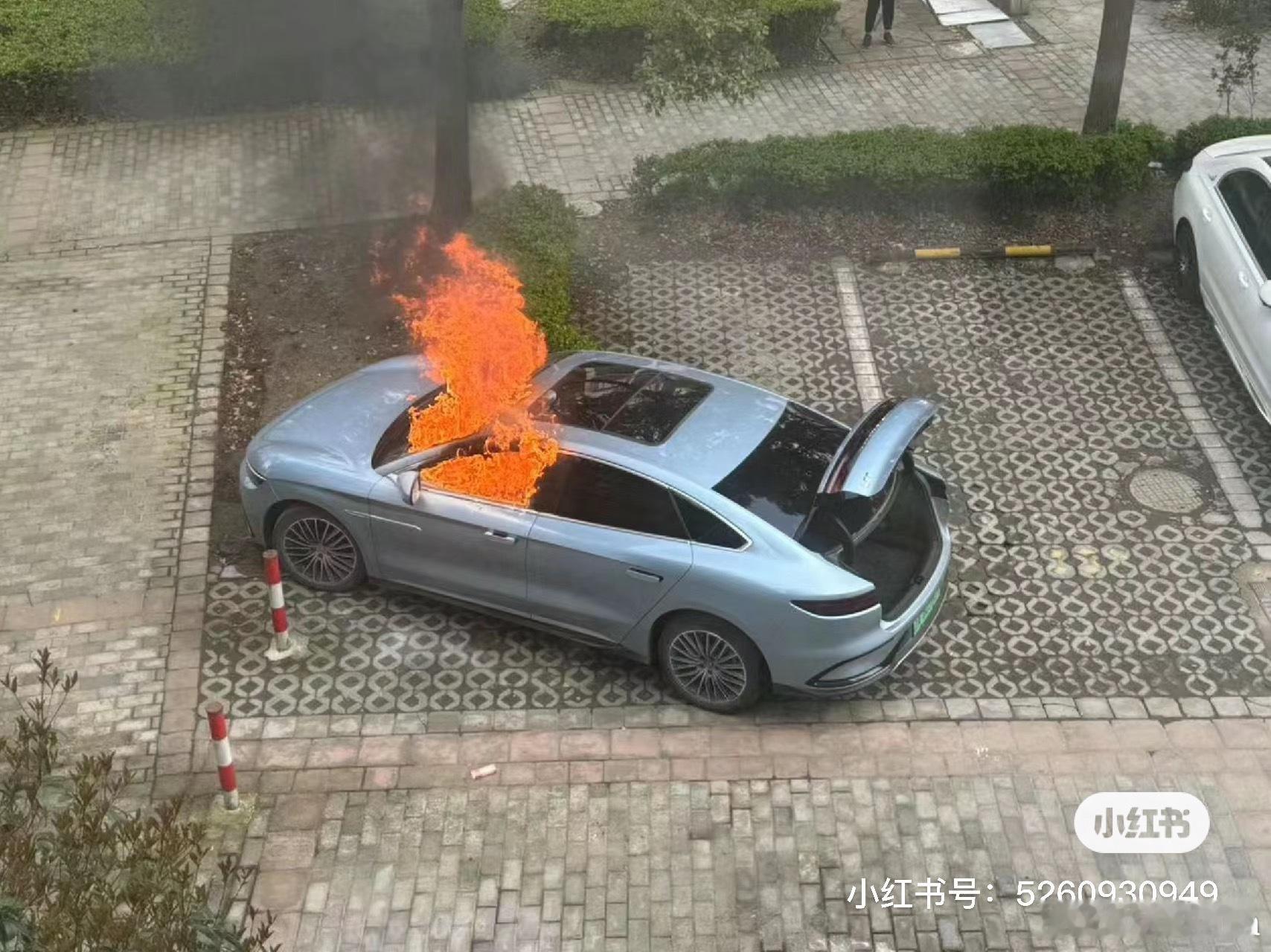 又是比亚迪啊目测是汉EV，麻木了都#大v聊车# ​​​