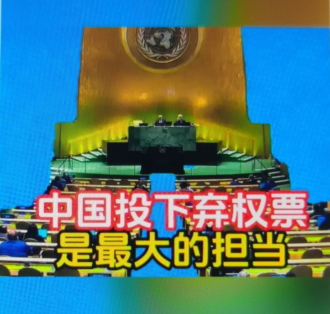 这张弃权票的“担当”，本质是在阵营对立中坚守客观公正，在决议缺陷前保留斡旋空间，