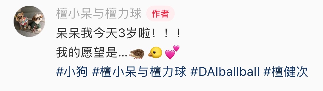 健次虽然不懂为什么他们叫自己🦔，但已经认可并运用上了 ​​​