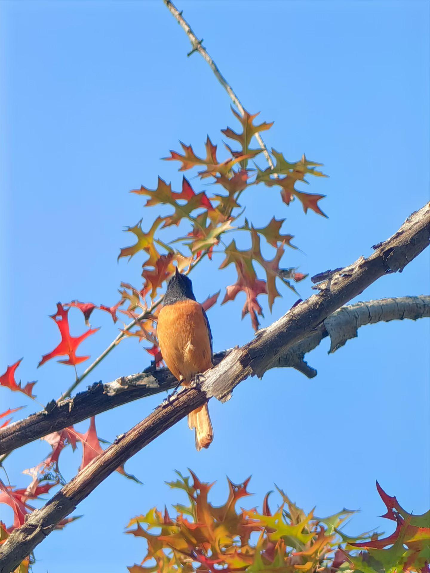 此时的我享受着暖阳，看着生机盎然的一切。 