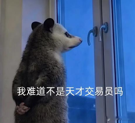 最近吃了好几个张婷，今天一口气吃了2个张婷，好开心，好喜欢张婷，我要当张婷的嬷嬷