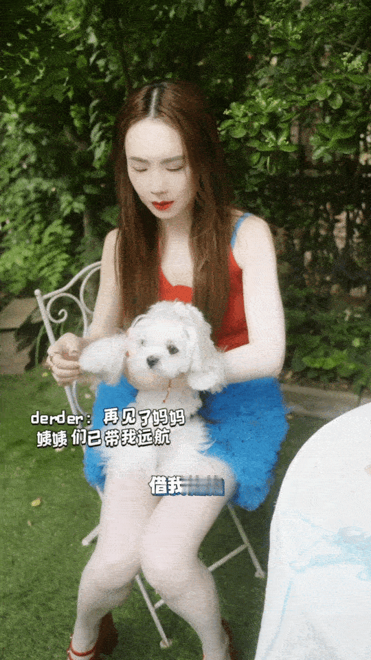 田曦薇抱张艺凡的狗给戚薇拍照姐姐妹妹抓娃娃​川渝甜妹+萌犬的治愈组合谁顶得住？ 