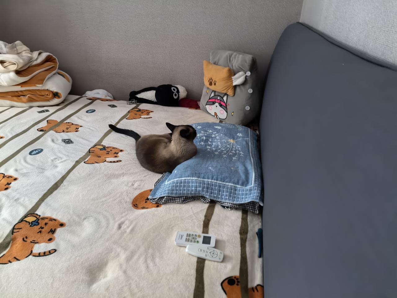 它就跟个人似的。