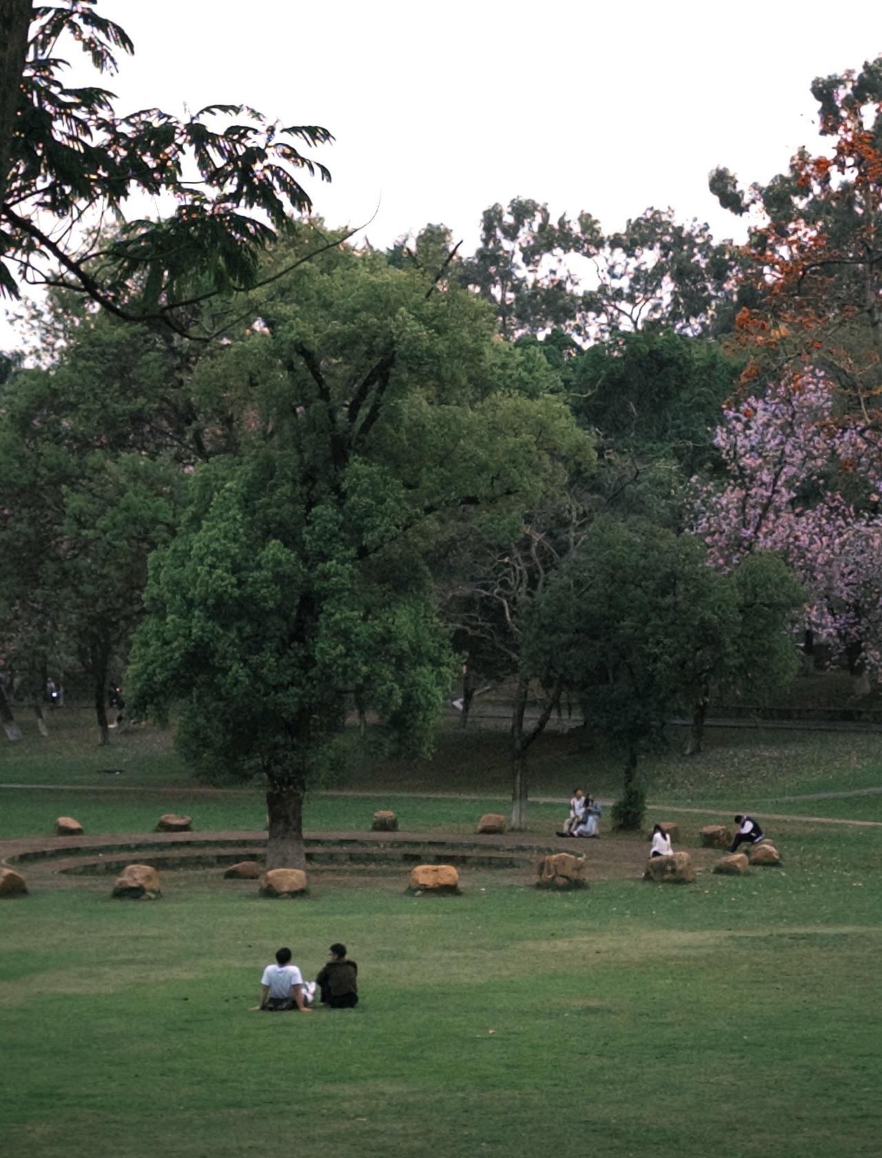 华农大学真是一个巨大的能量场🍃
📍广州 华南农业大学
树木、草地、花朵、小鸟