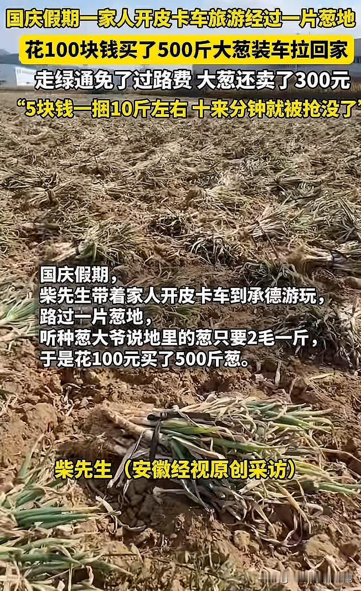 “真的是离谱啊！”北京一男子带家人去承德玩，路上看见地里的大葱才2毛一斤！他直接