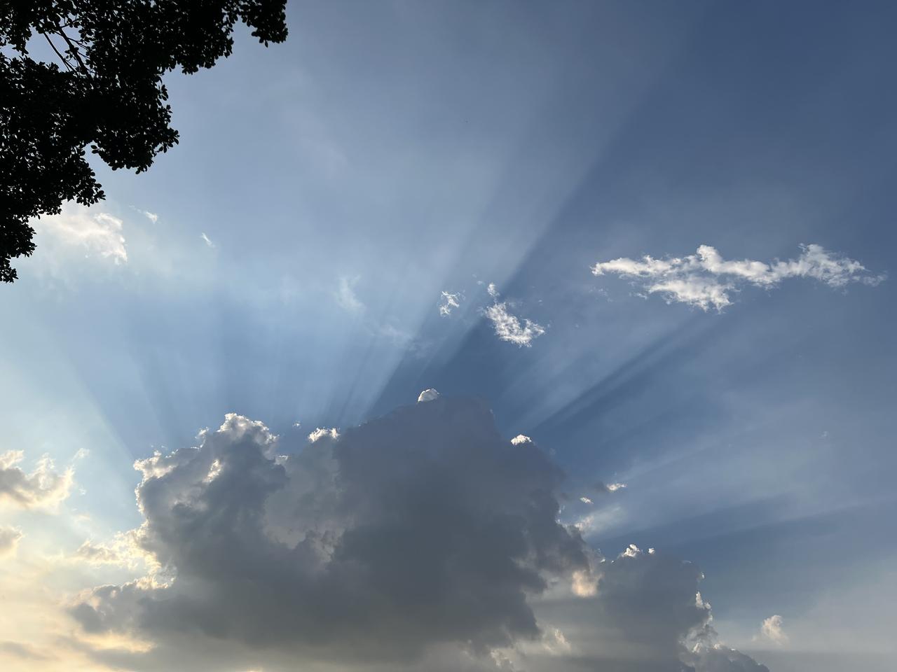 上班的一点感悟

我是不太愿意去上班的，生活所迫，不得已要去上班，当然我们也可以