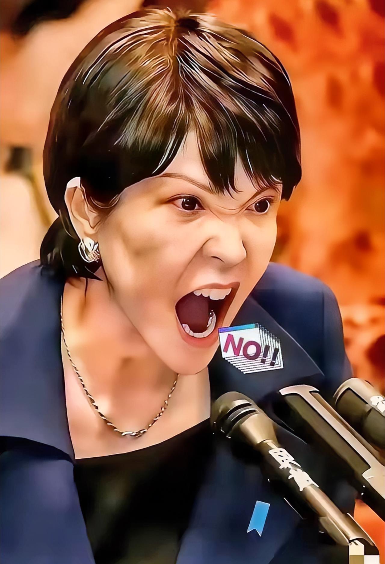 就在所有人都觉得该收手的时候，两个日本巨头，三菱和索尼，突然在中国市场砸下了重注