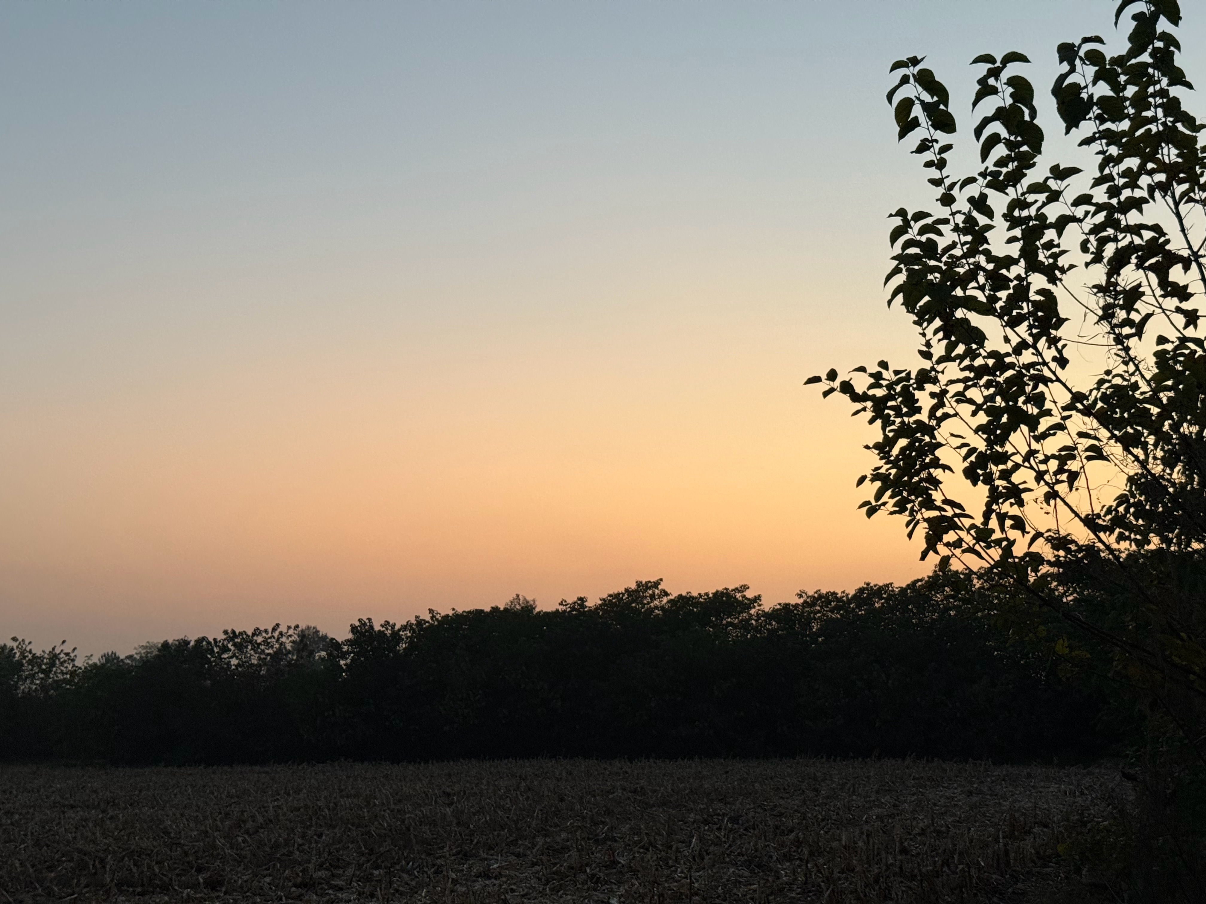 出发！柳州！再去吃个螺狮粉吧！ 