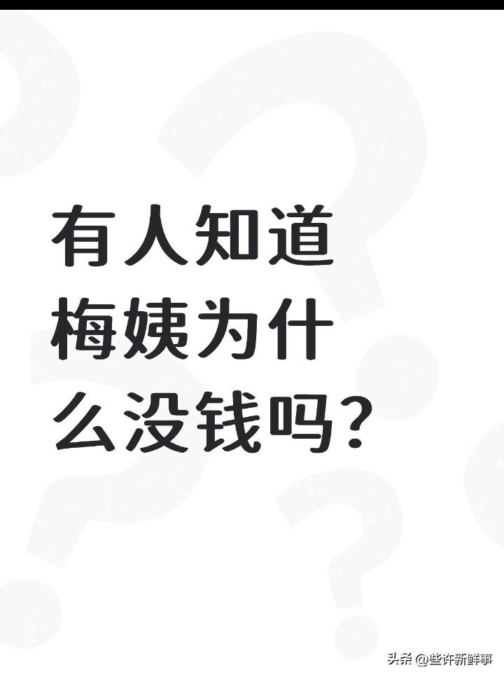 有人知道梅姨为什么没钱吗？