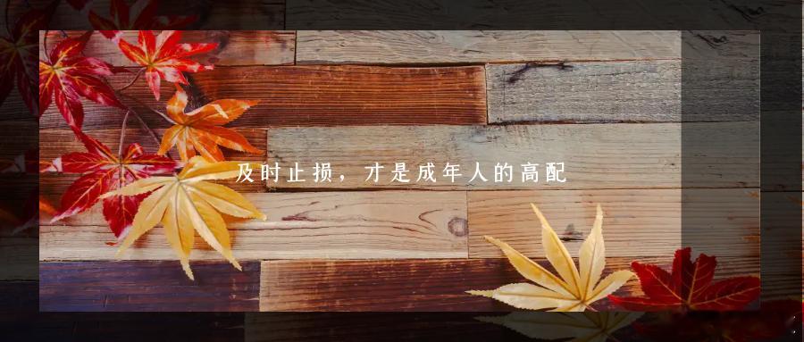 及时止损，才是成年人的高配坚持很难，放弃更难。如果明知走在错误的路上，那停下折返