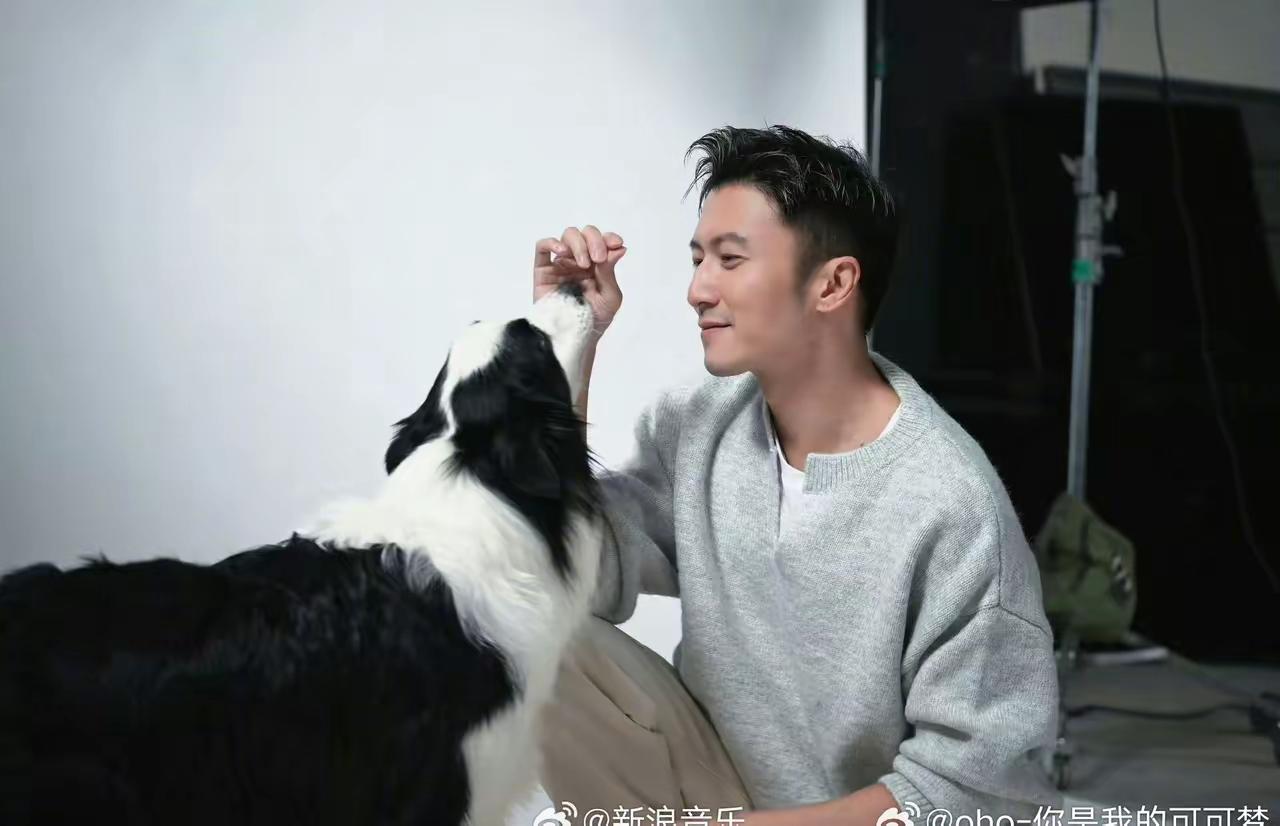 谢霆锋在深圳演出时，听到流浪狗历经艰辛寻找家园的故事，便将那支专属的龙脊麦架拍卖