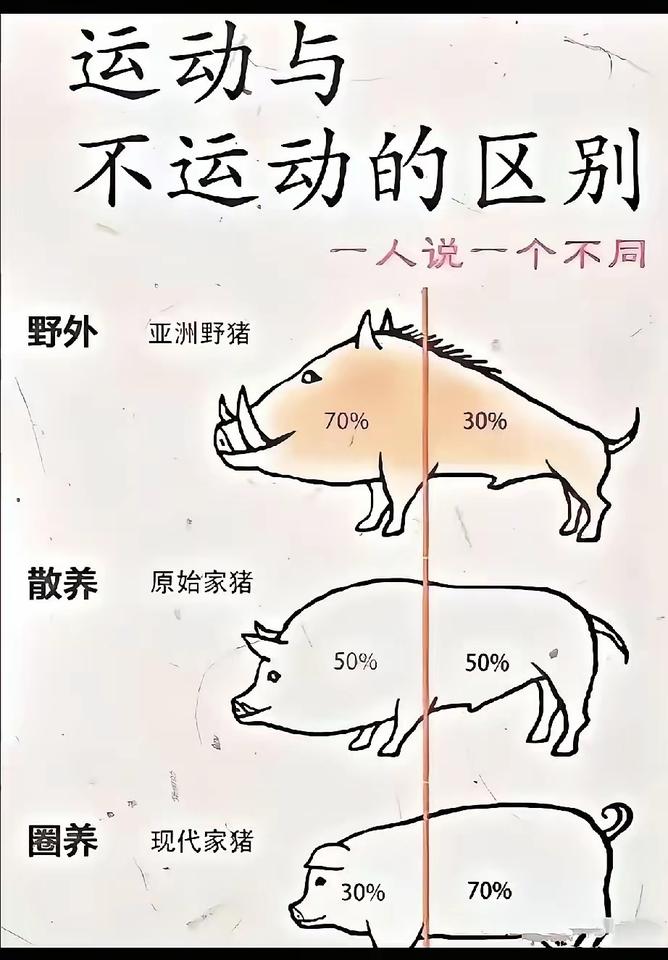 自从上了人类的餐桌，猪就慢慢过上了养尊处优的日子，直至一生结束。