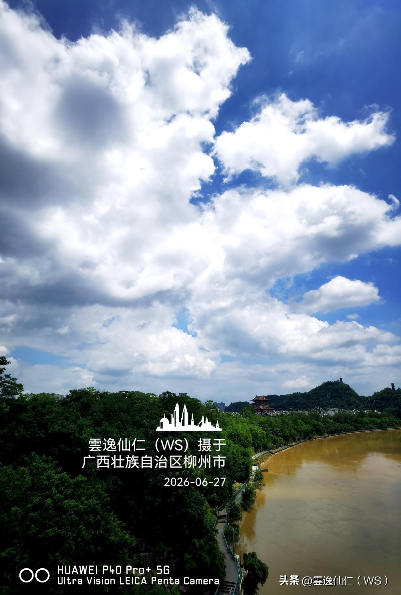 月居生活记录（10249）广西壮族自治区柳州市（287）：白蟹钳、白羊驼、低头、