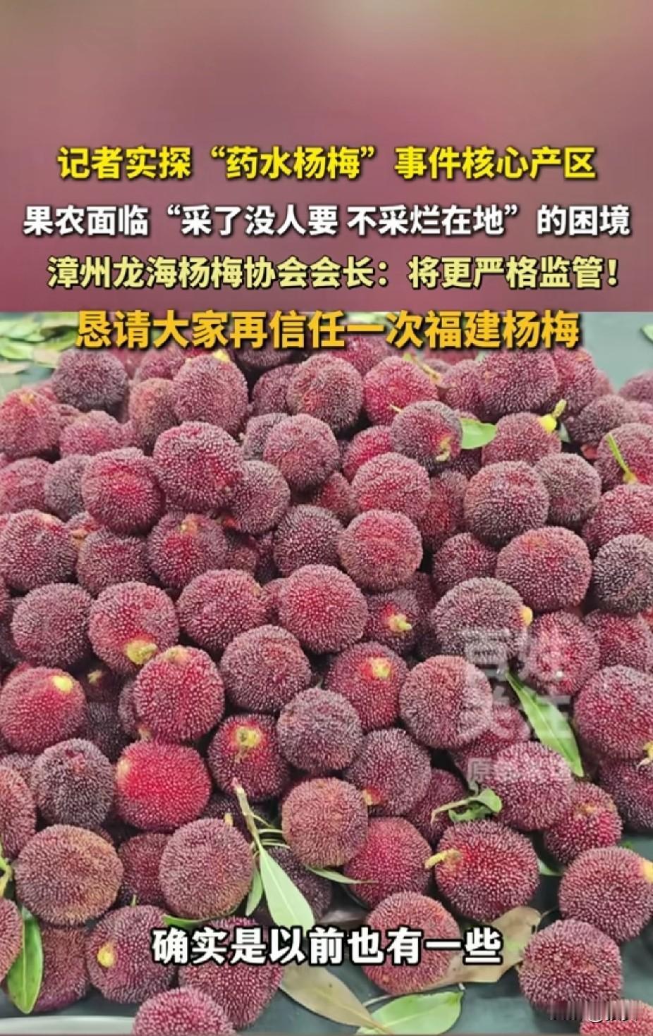 福建漳州“药水杨梅”事件，全网都在骂那几家经销商，说他们一颗老鼠屎弄坏一锅汤，害