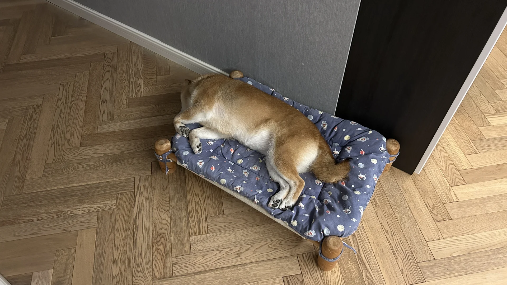 明天起来不要脖子疼哦