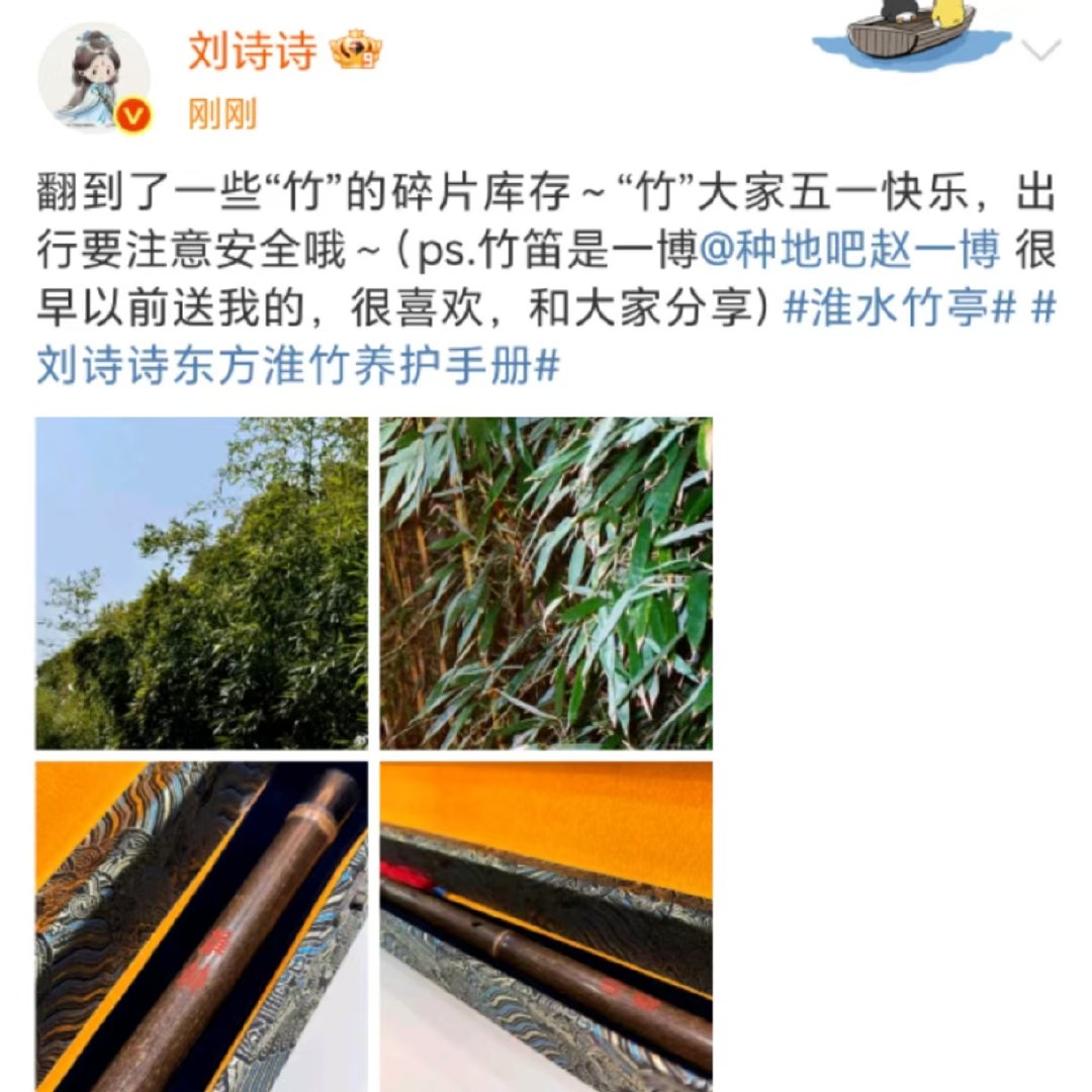 刘诗诗拍的竹子 刘诗诗翻到了一些“竹”的碎片库存～ ​​​