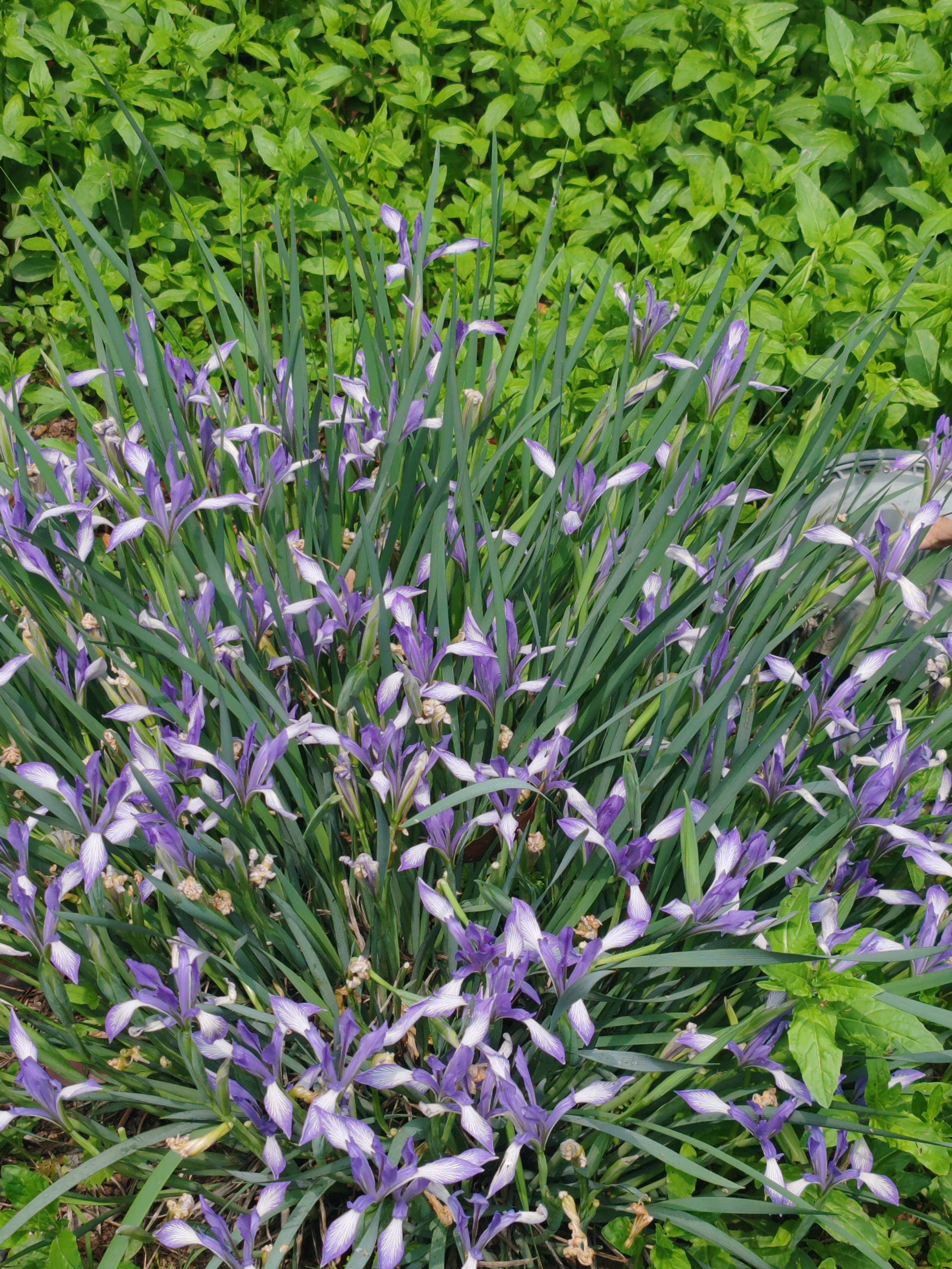 这部剧采用了类似游戏的“单元剧”结构，将整个故事划分为几个独立的篇章（即“副本”