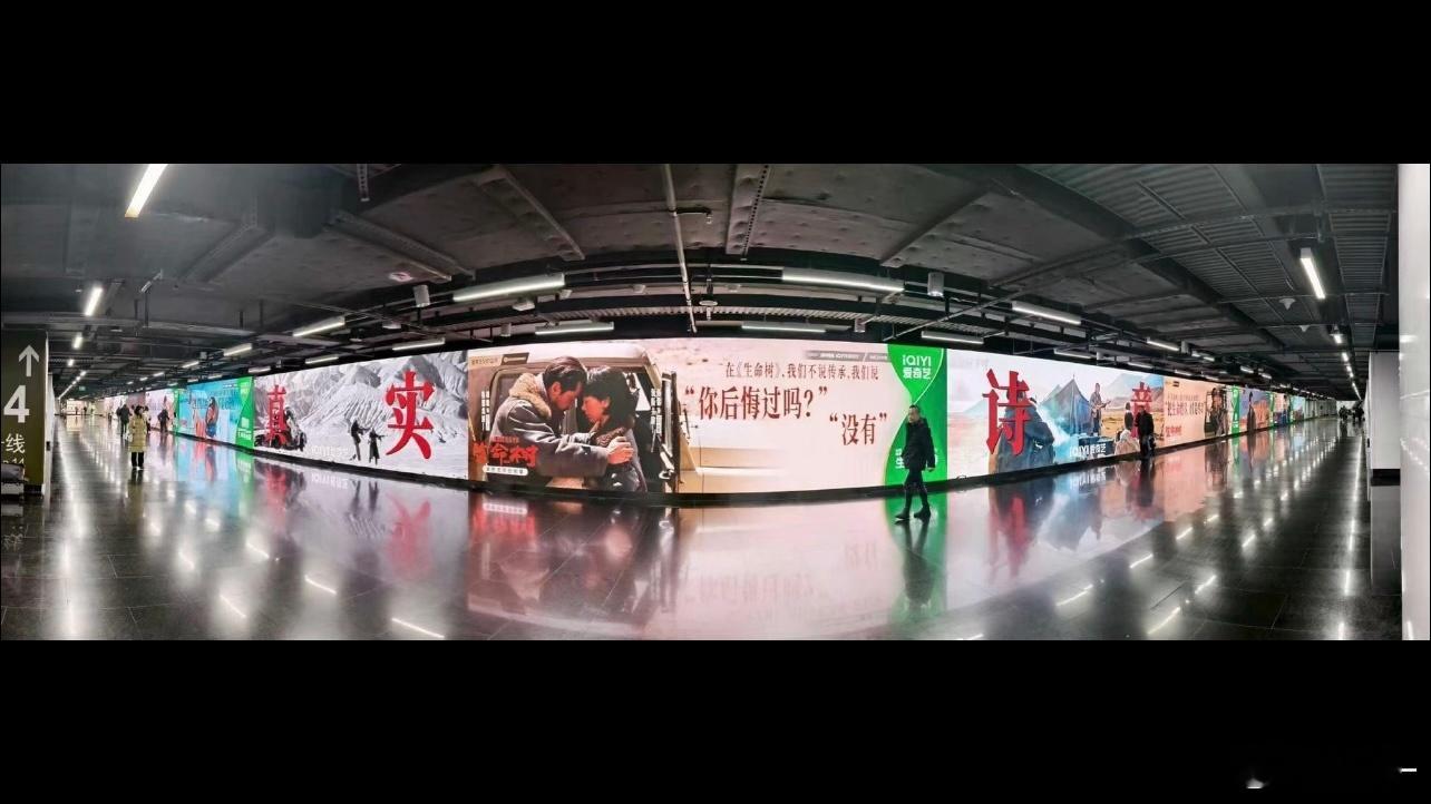 这种大地广也是轮到生命树了终于有平台舍得给杨紫的剧花钱做宣传了 