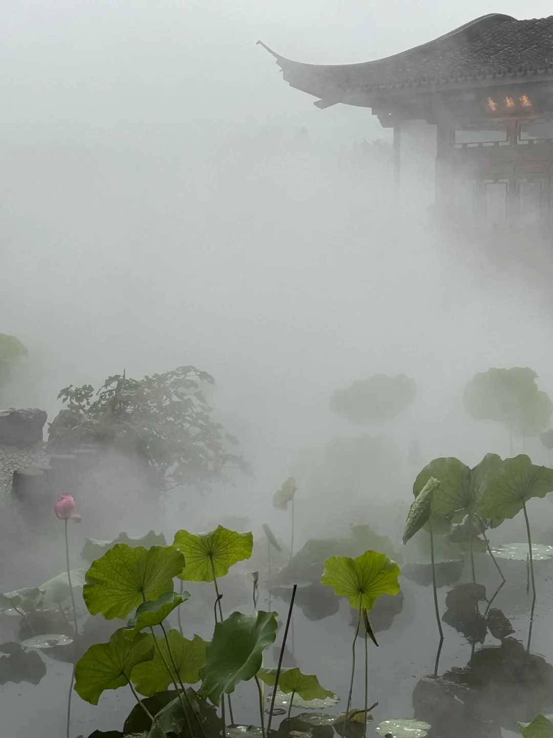 原来晴西湖不如雨西湖是真的！！！（Live版）