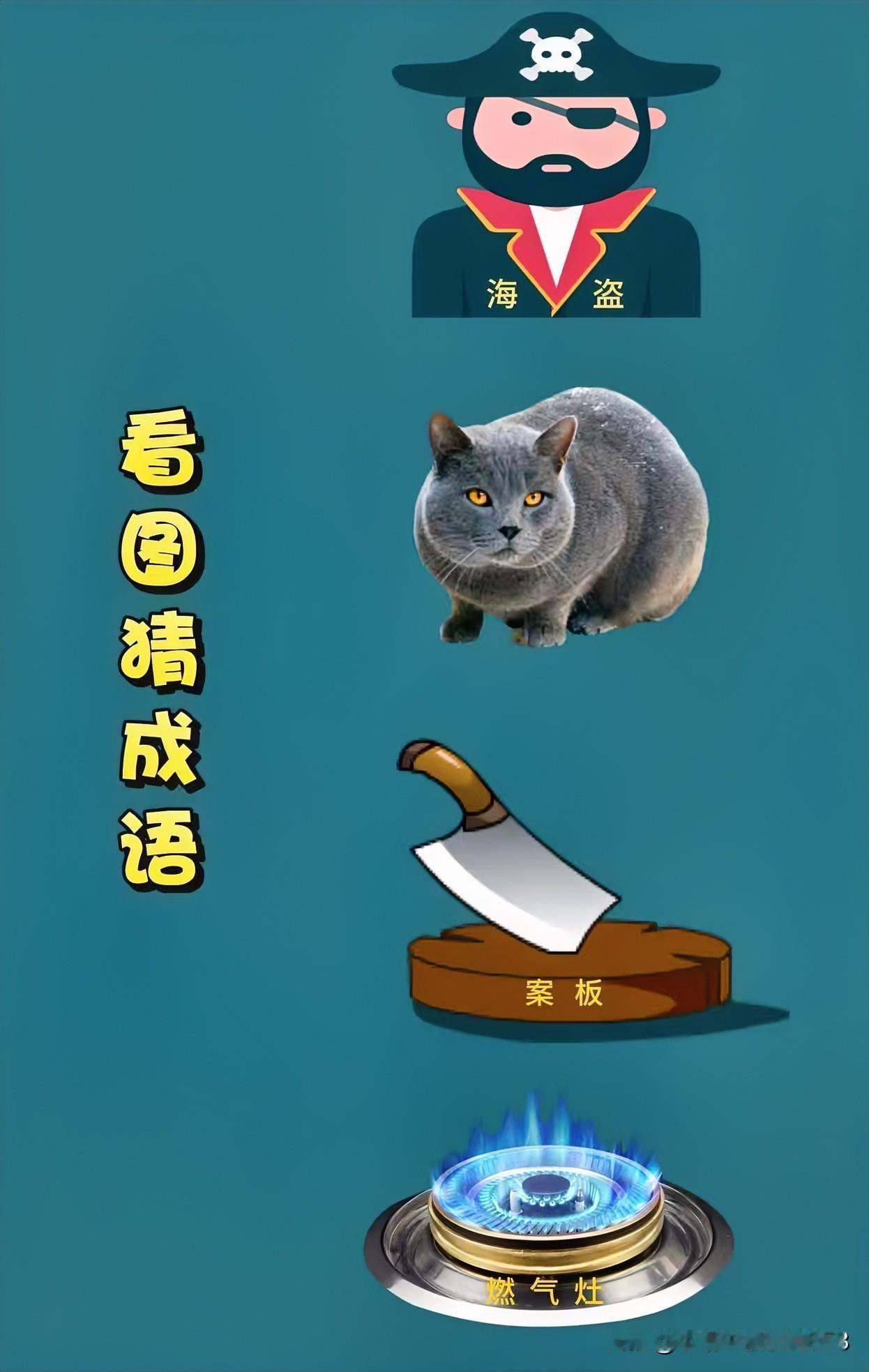 海盗图猜成语，猫坐案板旁
看图猜成语
海盗一猫咪一案板一燃气灶[灵光一闪]