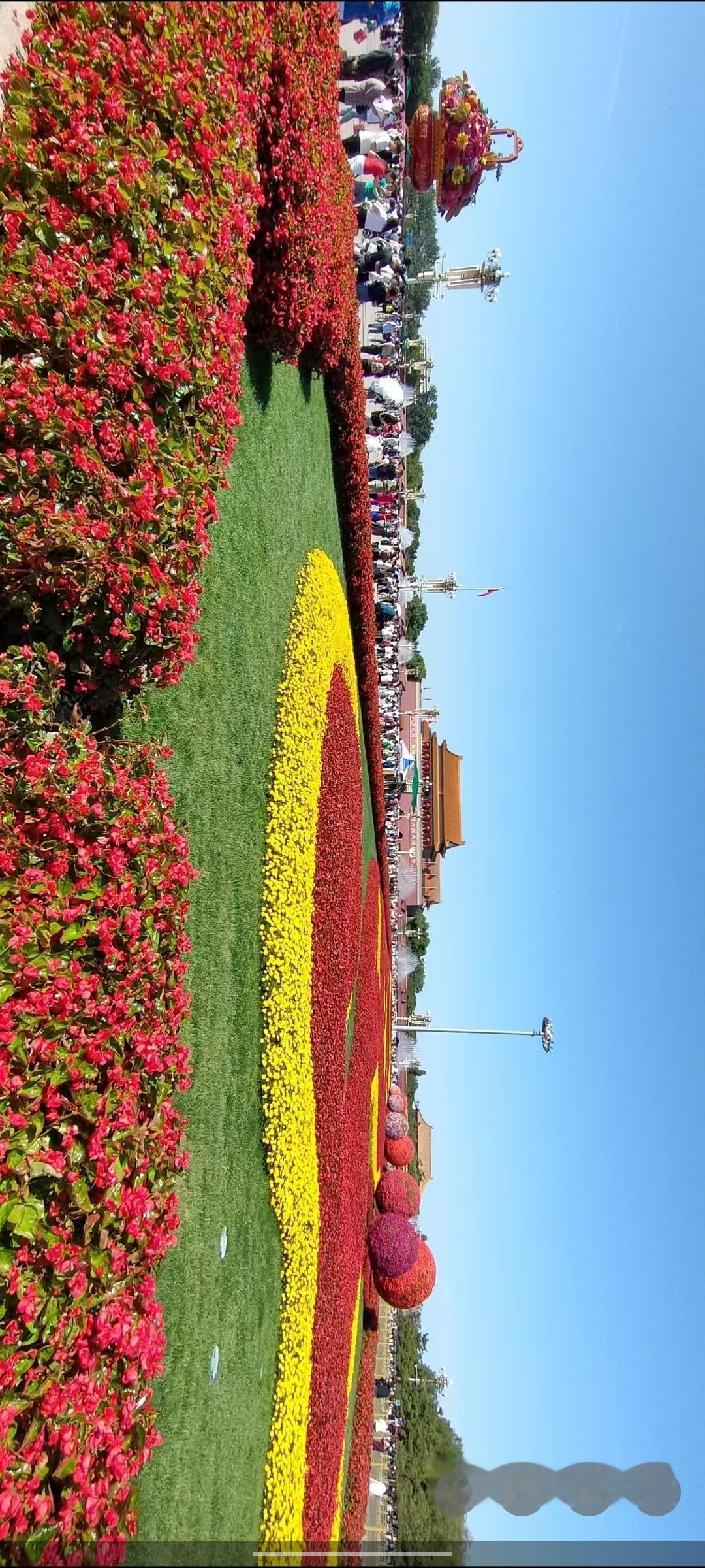 五彩缤纷的花海，打卡最美花展！🌸🌼🌺