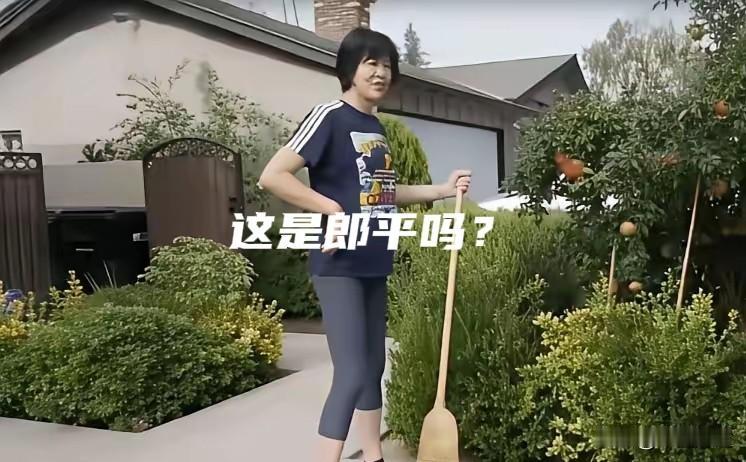 看到这张照片时，我着实吃了一惊，这是当年的“铁榔头”吗？美国的家与中国的家，究竟
