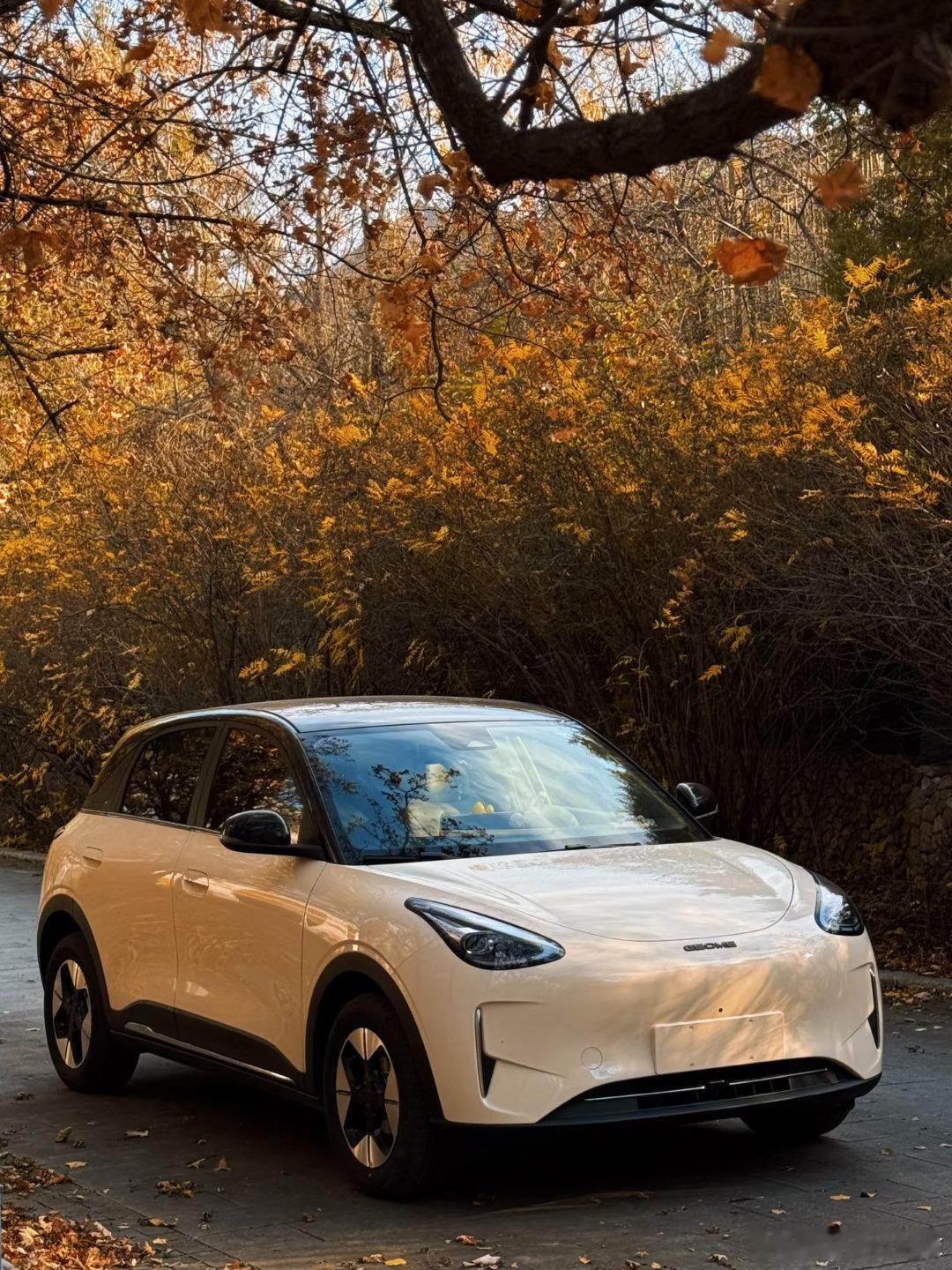 开上小小星愿带崽兜风咯～ 