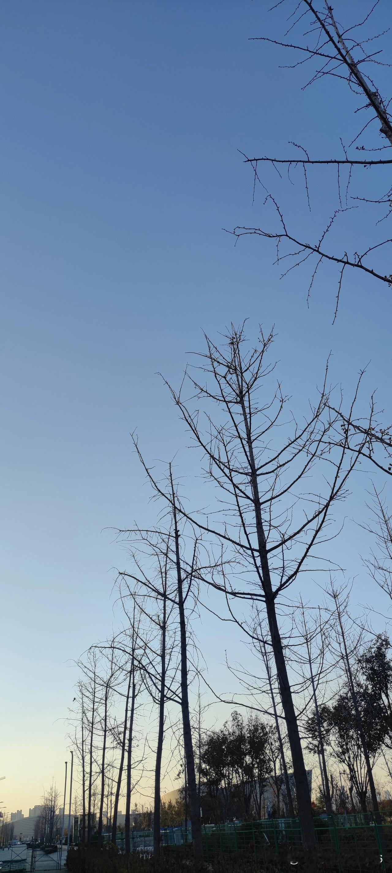 随手拍张天空照