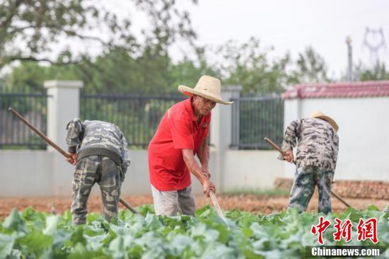 乡村里的养老与婚姻困境
 
乡村故事里，藏着两代人的难心事。大姨年近八十，不愿待