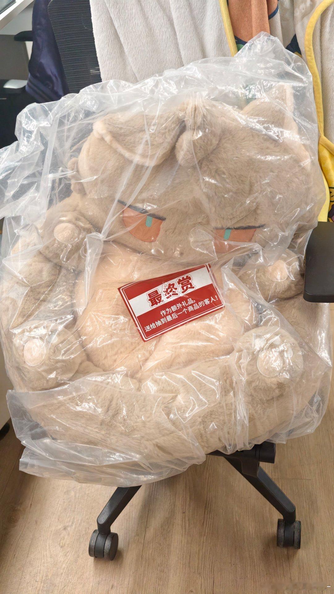 救命了真的是之前听说坐垫很小就放心寄到公司，结果看到箱子的那一刻我就知道大事不妙