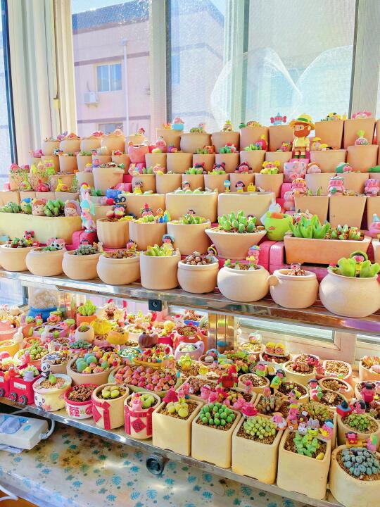 魔光驾稻活动开始啦。聚划算。