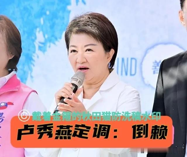 卢秀燕定调：倒阁更倒赖！
妈妈市长将出席白营党庆活动，“倒赖” 已成共识，蓝白合