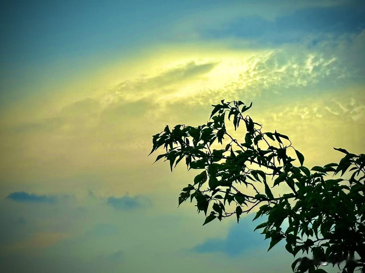 风雨初歇
        （原创）


风，终于收起了潦草的笔锋
雨，也隐去了穿