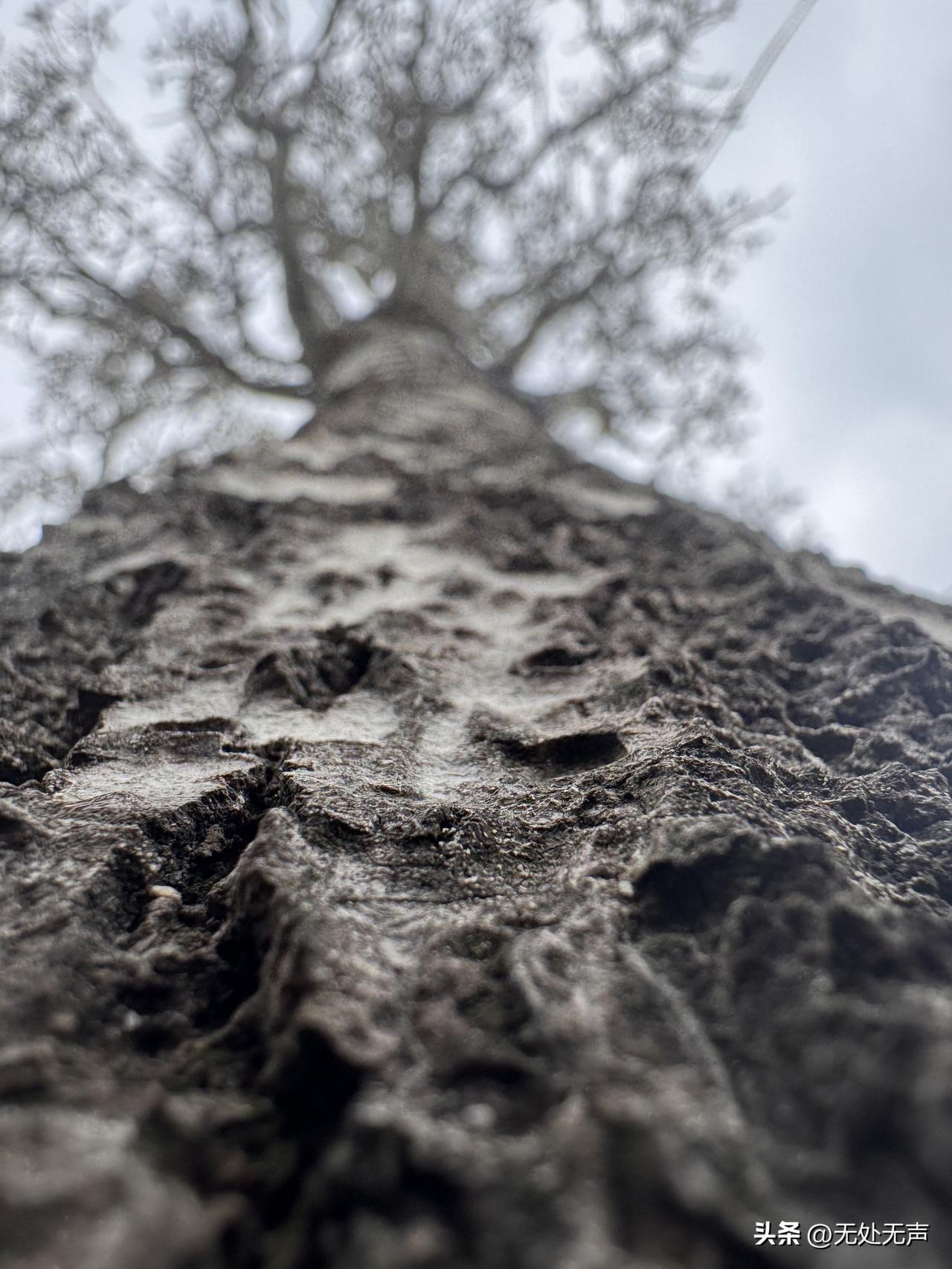以前发个脾气，十头牛都拉不回来；
现在生个气，转头就觉得没必要。
时间慢慢让人变
