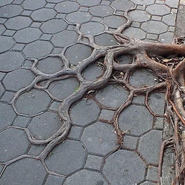 环境造就艺术 ​​​