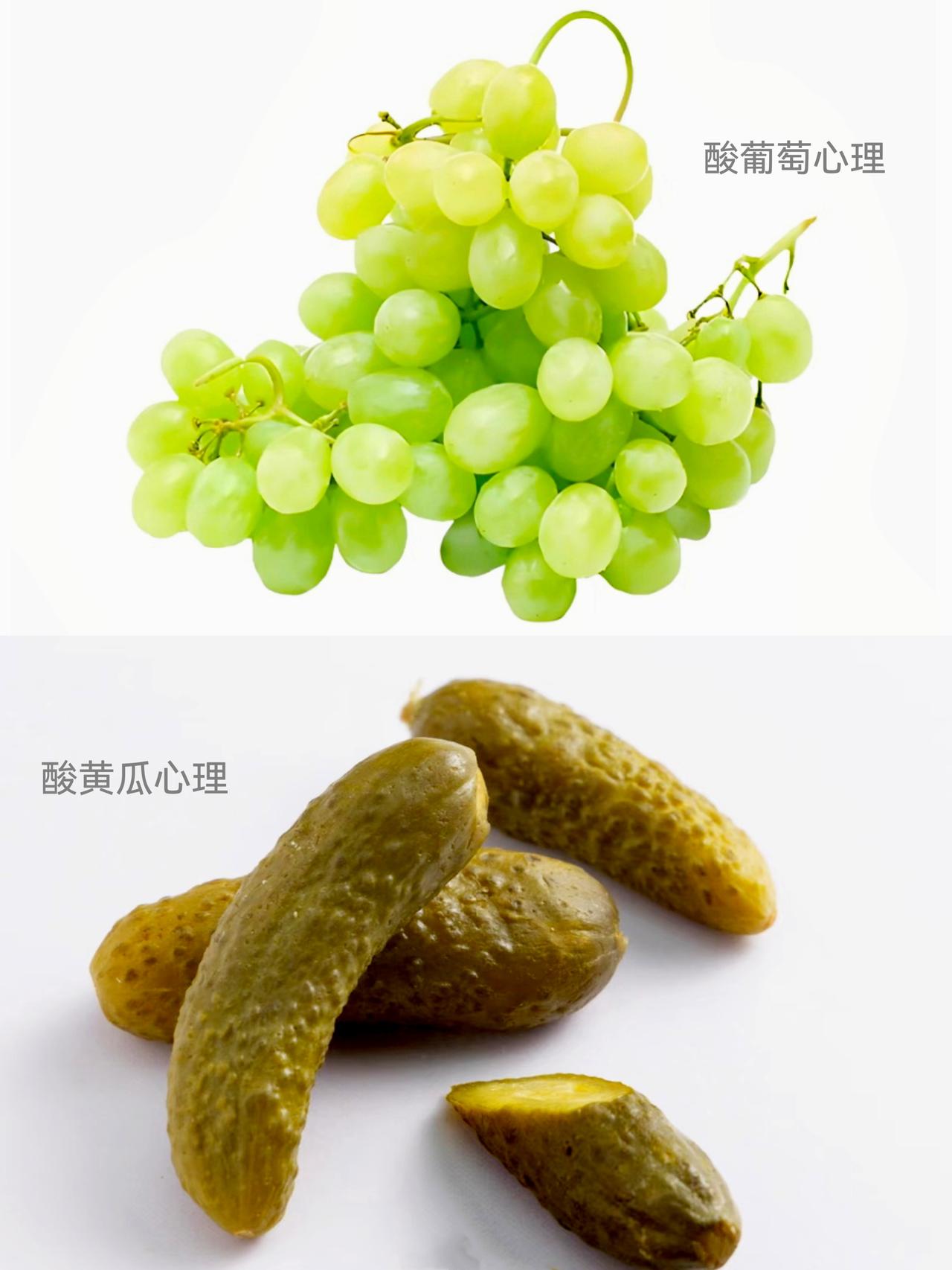 《论酸葡萄心理与酸黄瓜心理的区别》

酸葡萄心理：是心理学专业术语，源自《伊索寓