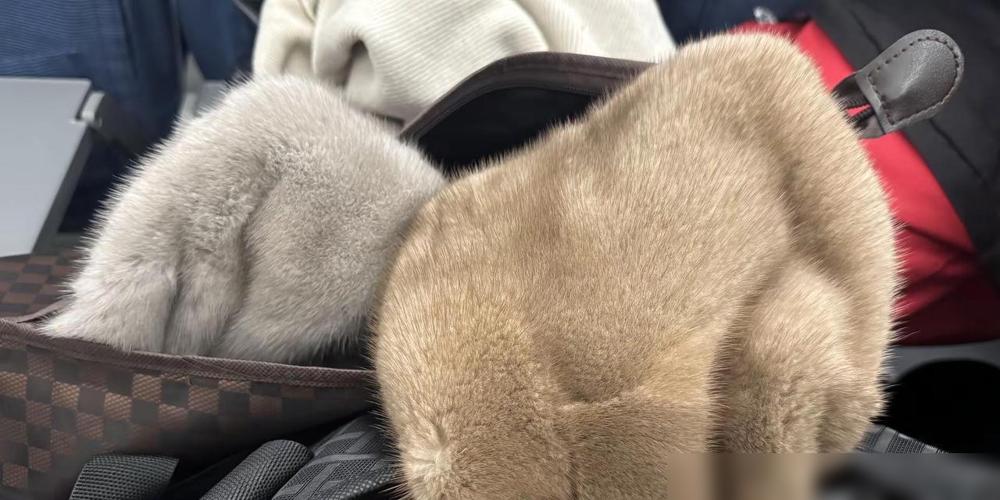 买包的人还在研究配比，懂行的早就去海宁置办避险资产了。

奢侈品那层薄如蝉翼的虚