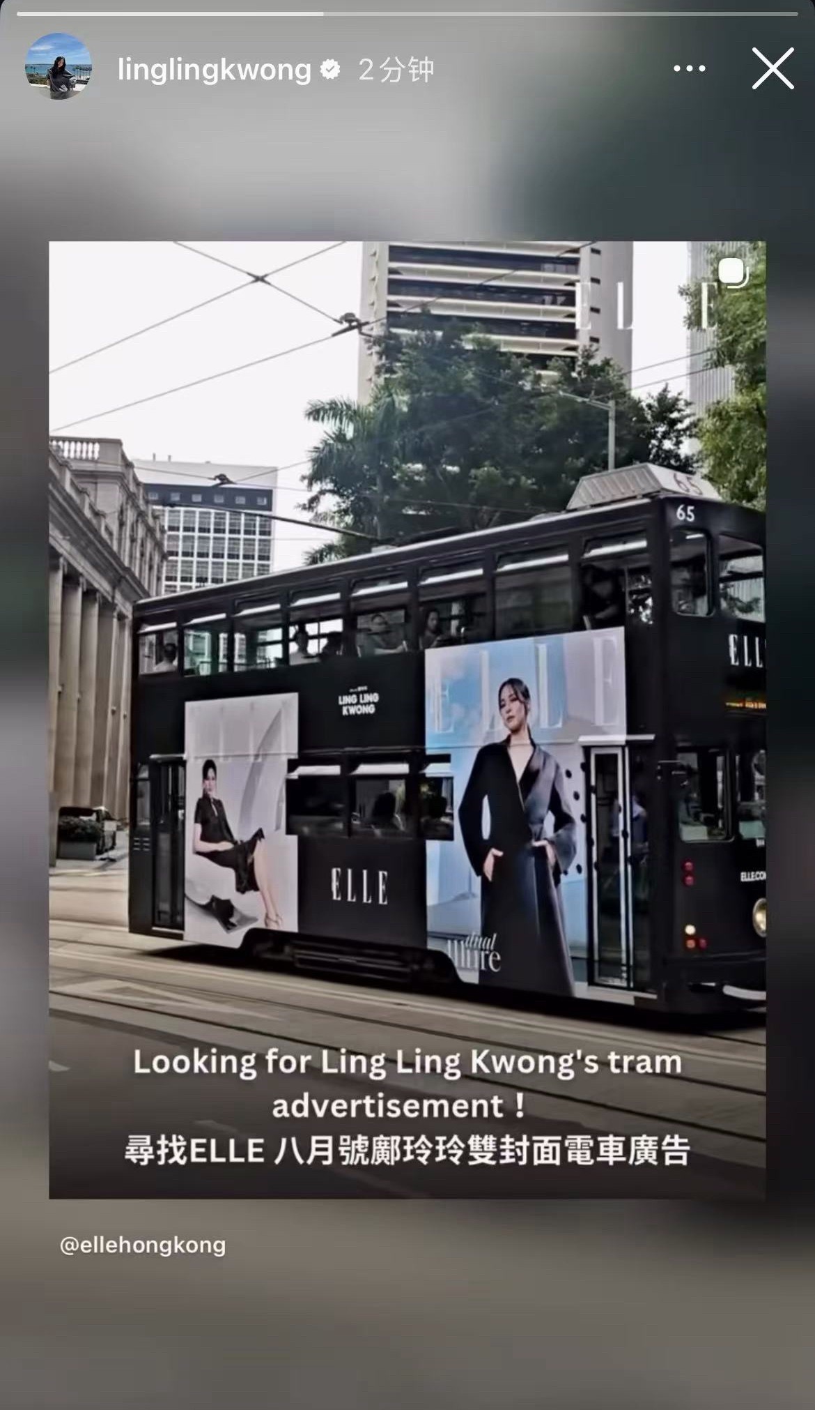 邝玲玲igs转发ellehongkong我看到一只小狗尾巴摇成了螺旋桨呢，香港仔