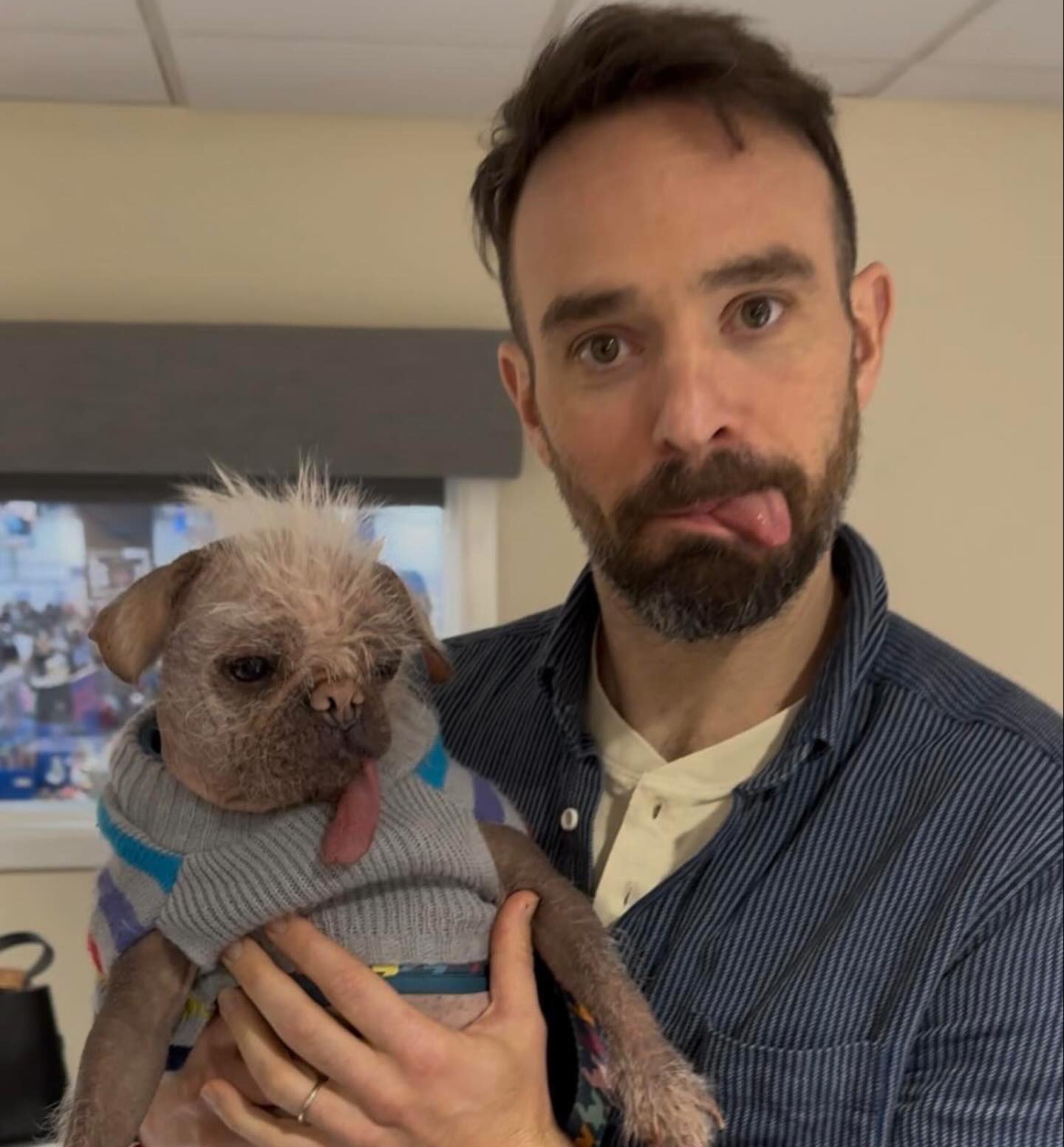 查查在昨天偶遇狗侍🐶[死侍] ​​​