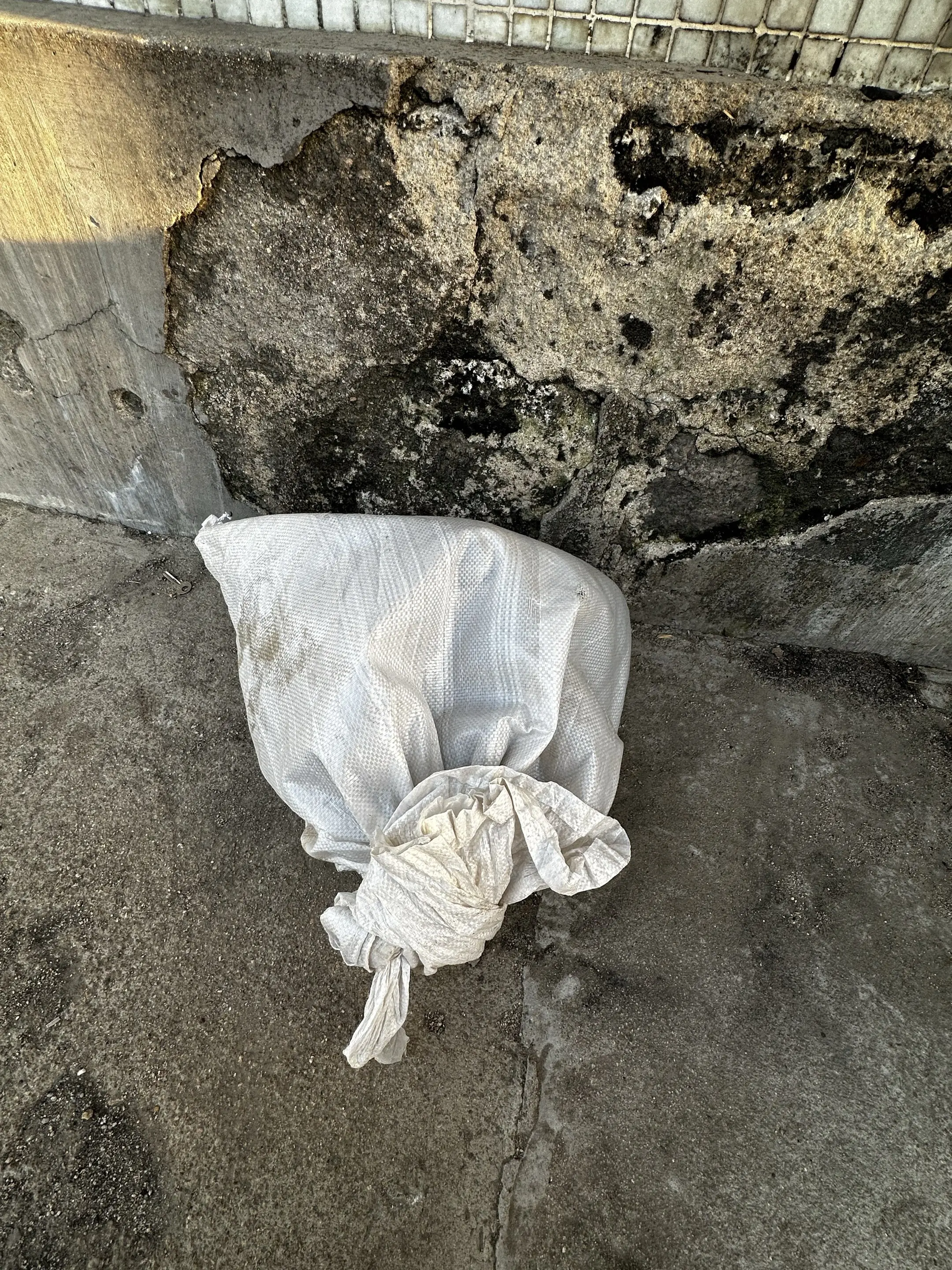 团购已经开启，下单发送核销码即可帮助。 理发店家门口又被别人丢了一袋的小狗狗