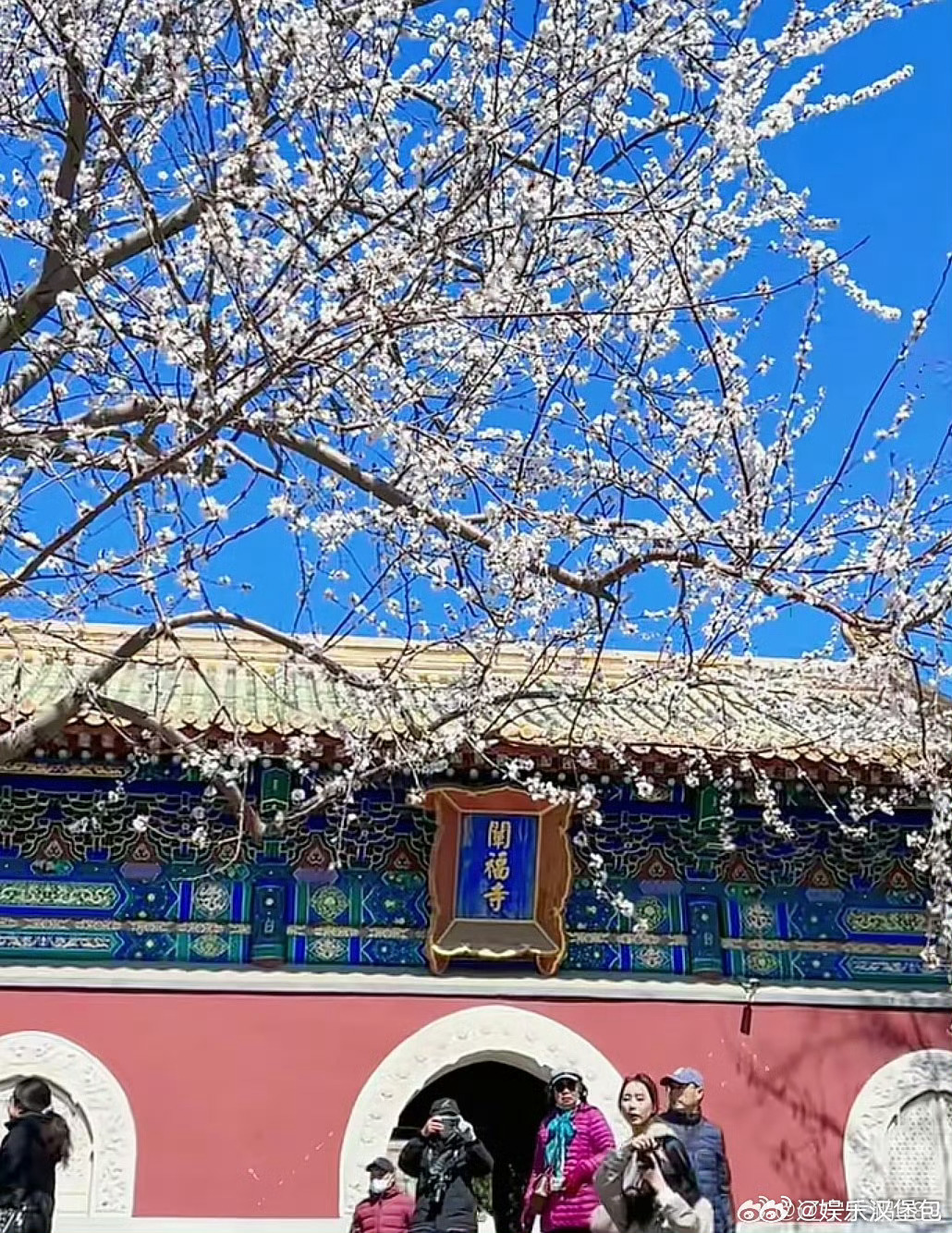 北京公园上线实时过敏指数提示北京公园太懂过敏星人 从防控措施到服 务提示，北京公