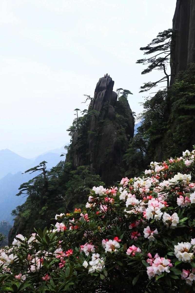 有高人预测，2026年下半年将会发生：

1、退休金迎来“22连涨”，涨幅可能在