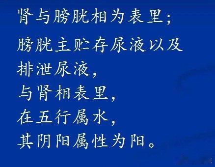 “膀胱”，的生理功能是什么？中医认为，膀胱又称净腑、水府、尿胞。膀胱，位于人体下