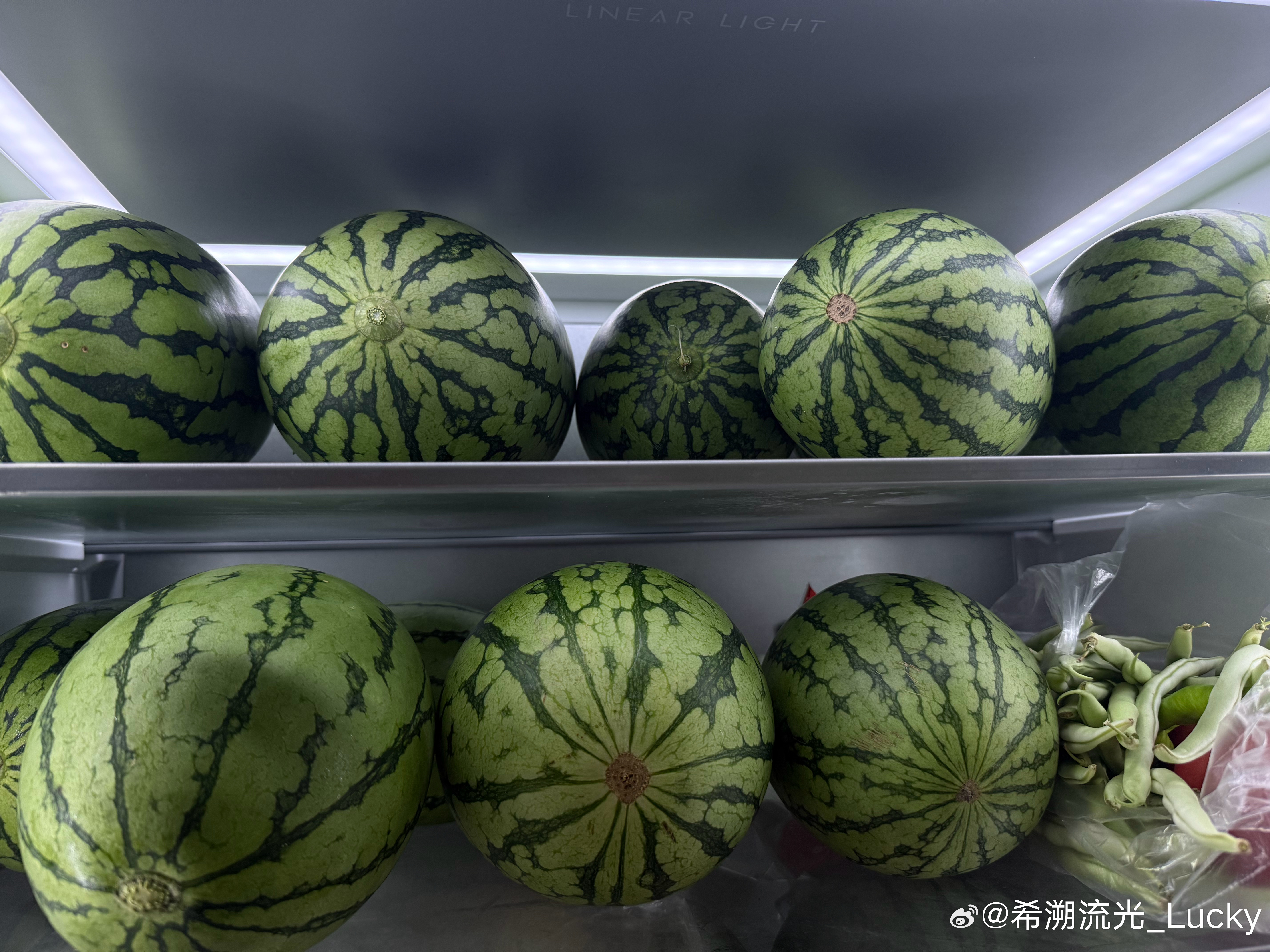 当我跟我老爹说我想吃西瓜 be like 