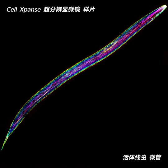 从今天起，放弃HIS-SIM显微镜！不想再用了